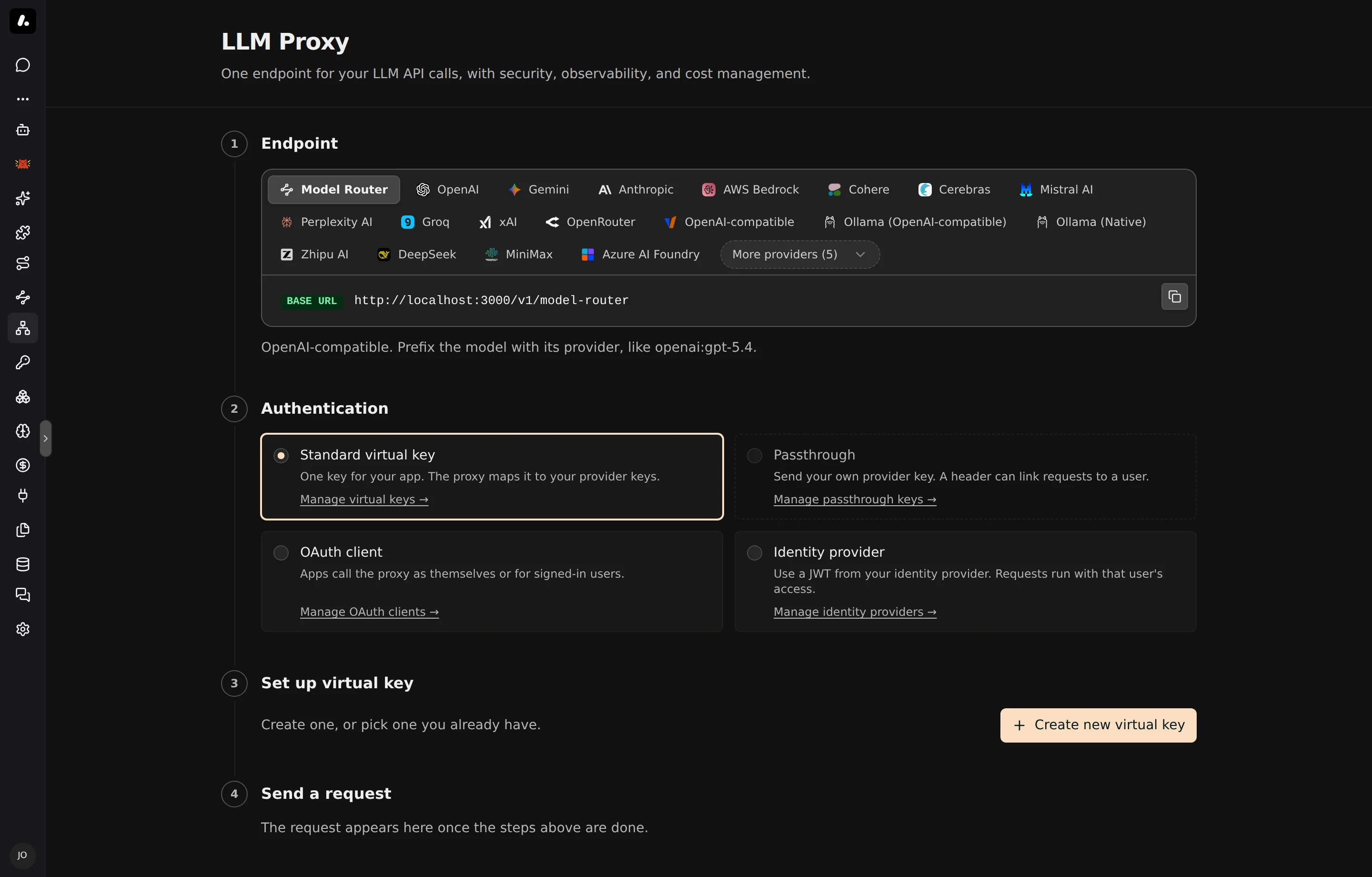 The LLM Proxy page, with the endpoint for each provider and the four ways to sign in
