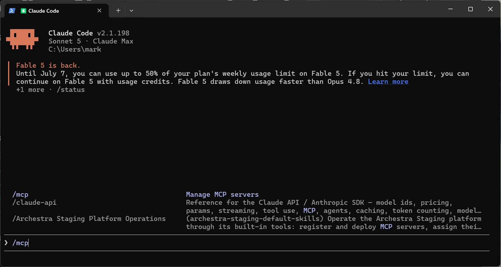 Running /mcp in Claude Code